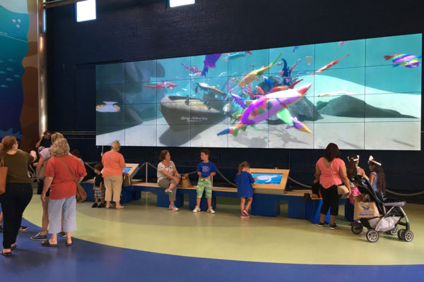 Norwalk Aquarium 3D Fish Wall